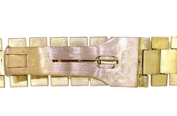 PhotoRoom_20231016_15509 PM